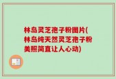 林岛灵芝孢子粉图片(林岛纯天然灵芝孢子粉美照简直让人心动)