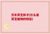 万年灵芝样子(什么是灵芝植物的特征)