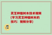 灵芝种植树木技术视频(学习灵芝种植树木的技巧：视频分享)
