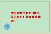 南丹种灵芝用户(南丹灵芝用户：发现神奇功效)