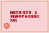 回隆灵芝(隆灵芝：古老的神奇药材闪耀现代光芒)