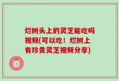 烂树头上的灵芝能吃吗视频(可以吃！烂树上有珍贵灵芝视频分享)