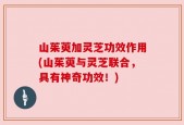 山茱萸加灵芝功效作用(山茱萸与灵芝联合，具有神奇功效！)