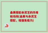 桑黄搭配赤灵芝的作用和功效(桑黄与赤灵芝搭配，增强免疫力)