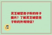 灵芝破壁孢子粉的样子图片？了解灵芝破壁孢子粉的外观特征？