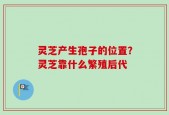 灵芝产生孢子的位置？灵芝靠什么繁殖后代