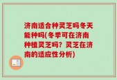 济南适合种灵芝吗冬天能种吗(冬季可在济南种植灵芝吗？灵芝在济南的适应性分析)