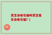 灵芝会吸引猫吗灵芝是否会吸引猫？)