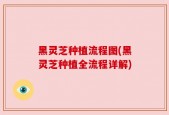 黑灵芝种植流程图(黑灵芝种植全流程详解)