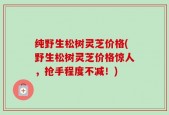 纯野生松树灵芝价格(野生松树灵芝价格惊人，抢手程度不减！)