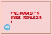 广东万绿湖灵芝(广东万绿湖：灵芝栖息之地)