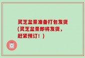 灵芝盆景准备打包发货(灵芝盆景即将发货，赶紧预订！)