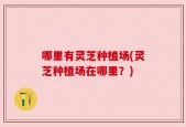 哪里有灵芝种植场(灵芝种植场在哪里？)