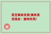 灵芝黄芪伏灵(黄芪灵芝组合：强效伏灵)