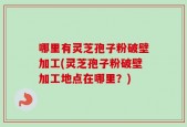 哪里有灵芝孢子粉破壁加工(灵芝孢子粉破壁加工地点在哪里？)