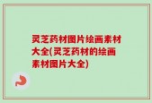 灵芝药材图片绘画素材大全(灵芝药材的绘画素材图片大全)