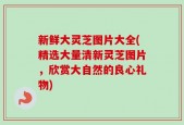 新鲜大灵芝图片大全(精选大量清新灵芝图片，欣赏大自然的良心礼物)