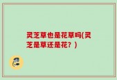 灵芝草也是花草吗(灵芝是草还是花？)