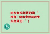 树木会长出灵芝吗(“神奇！树木竟然可以生长出灵芝！”)