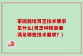 茶园栽培灵芝技术要求是什么(灵芝种植需要满足哪些技术要求？)