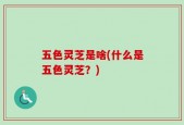 五色灵芝是啥(什么是五色灵芝？)