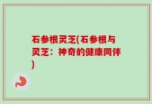 石参根灵芝(石参根与灵芝：神奇的健康同伴)