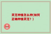 灵芝种植怎么种(如何正确种植灵芝？)