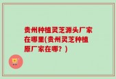 贵州种植灵芝源头厂家在哪里(贵州灵芝种植原厂家在哪？)