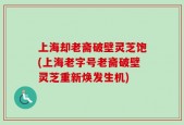 上海却老斋破壁灵芝饱(上海老字号老斋破壁灵芝重新焕发生机)