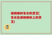 胡桃楸树生长的灵芝(生长在胡桃楸树上的灵芝)