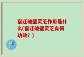 宿迁破壁灵芝作用是什么(宿迁破壁灵芝有何功效？)