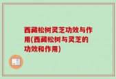西藏松树灵芝功效与作用(西藏松树与灵芝的功效和作用)