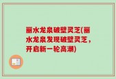 丽水龙泉破壁灵芝(丽水龙泉发现破壁灵芝，开启新一轮高潮)