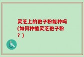 灵芝上的孢子粉能种吗(如何种植灵芝孢子粉？)