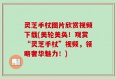 灵芝手杖图片欣赏视频下载(美轮美奂！观赏“灵芝手杖”视频，领略奢华魅力！)