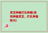 灵芝种植打孔神器(高效种植灵芝，打孔神器助力)