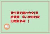 灵性灵芝图片大全(灵感满满！赏心悦目的灵芝图集来袭！)