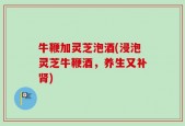 牛鞭加灵芝泡酒(浸泡灵芝牛鞭酒，养生又补肾)