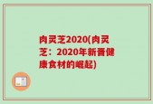 肉灵芝2020(肉灵芝：2020年新晋健康食材的崛起)