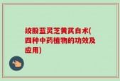 绞股蓝灵芝黄芪白术(四种中药植物的功效及应用)