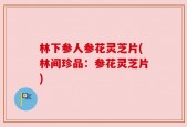 林下参人参花灵芝片(林间珍品：参花灵芝片)