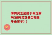 薄树灵芝是属于赤芝麻吗(薄树灵芝是否归属于赤芝子？)