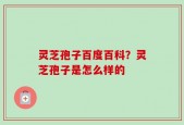 灵芝孢子百度百科？灵芝孢子是怎么样的