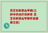 灵芝石斛穿山甲鳞(三种中药材疗效神奇 灵芝石斛穿山甲鳞开启健康之旅)