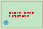 灵芝属于孢子植物还是？灵芝属于菌类吗