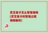灵芝孢子怎么繁殖视频(灵芝孢子的繁殖过程视频解析)