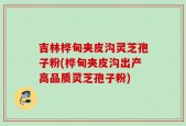 吉林桦甸夹皮沟灵芝孢子粉(桦甸夹皮沟出产高品质灵芝孢子粉)