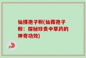 仙搂孢子粉(仙露孢子粉：探秘珍贵中草药的神奇功效)