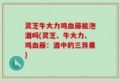 灵芝牛大力鸡血藤能泡酒吗(灵芝、牛大力、鸡血藤：酒中的三异果)