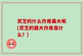 灵芝的什么作用最大呢(灵芝的最大作用是什么？)